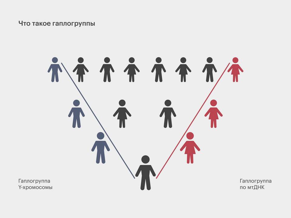 Что такое аномальные показатели биологического паспорта