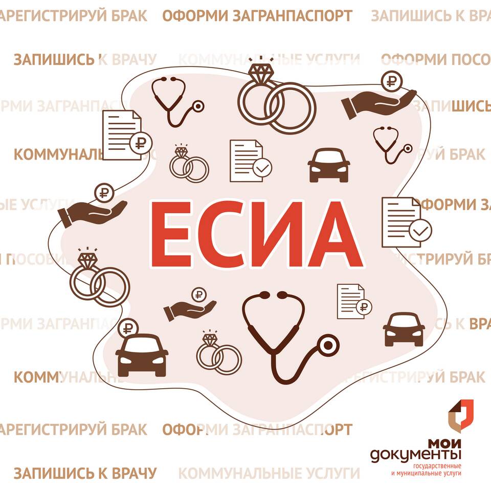 Как принимает МФЦ: порядок работы и особенности