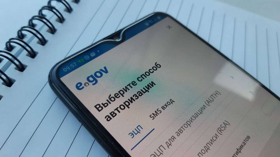 Как взять справки с ЕГОВ