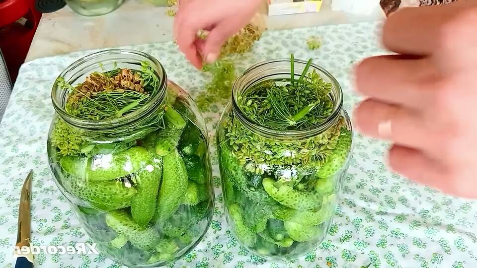 Почему огурцы в банке становятся мягкими