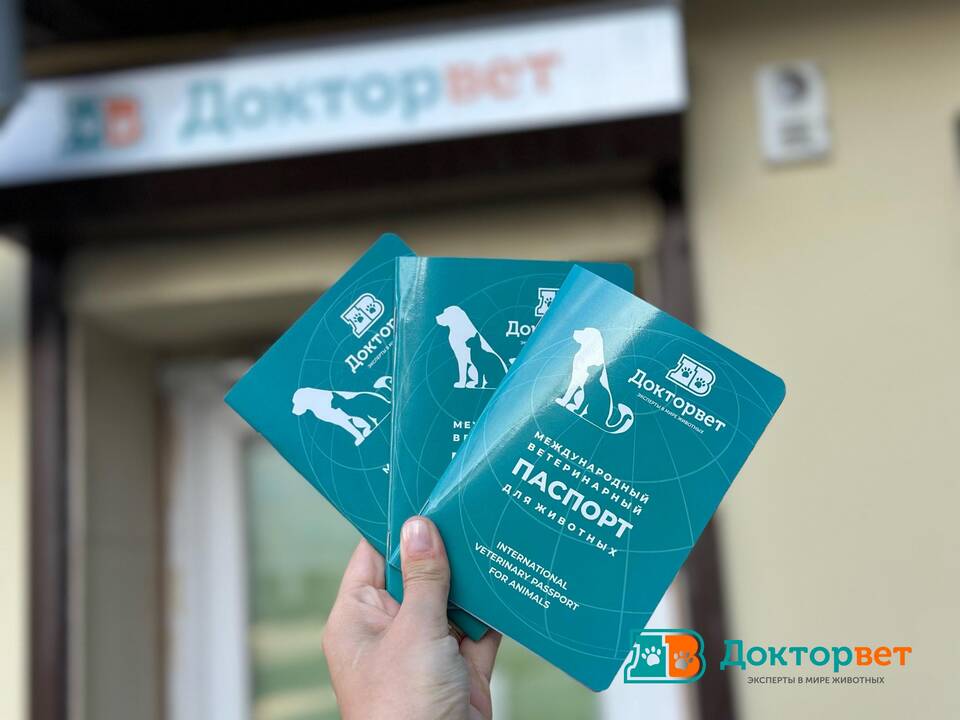 Зачем в паспорте указывают место рождения