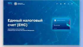 Что такое положительное сальдо в Mango