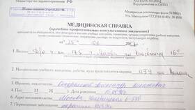 Что такое справка Д в Mango