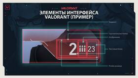 Как написать в поддержку Valorant в Mango