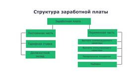 Как называется средняя заработная плата в Mango