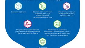 Как оформить разрешение перевозчика через Госуслуги в Mango