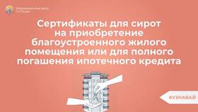 Как получить выплату сироте в Mango