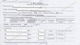 Как правильно составить справку в Mango