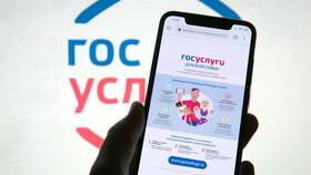 Почему не пришла справка на Госуслугах в Mango
