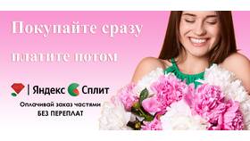 Сплит-система оплаты в Яндекс: что это такое в Mango