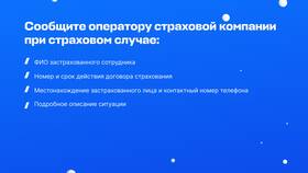 В чем суть страховых услуг в Mango