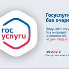 Как получить пособия через портал Госуслуги