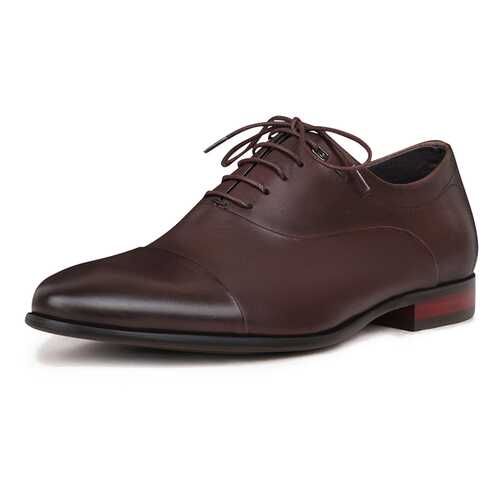 Туфли мужские Pierre Cardin DC20S-1 коричневые 43 RU в Mango