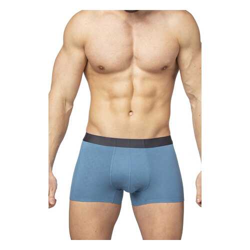 Трусы мужские SERGIO DALLINI SD2901 голубые L в Mango