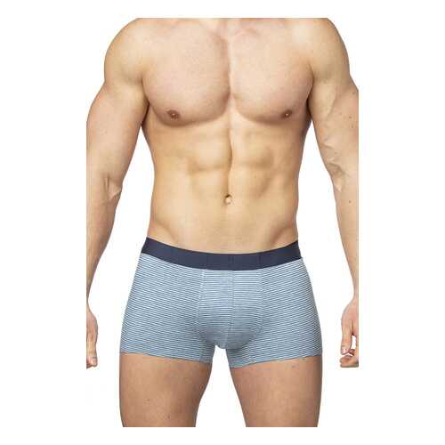 Трусы мужские SERGIO DALLINI SD2903 синие L в Mango