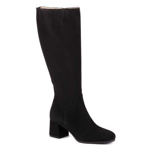 Сапоги женские Eliza di Venezia E9264 черные 40 RU в Mango